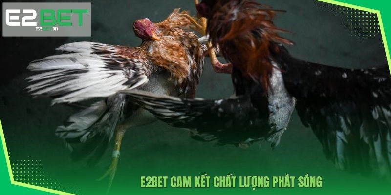 E2BET cam kết chất lượng phát sóng 