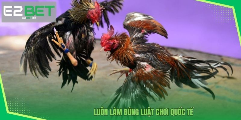 Luôn làm đúng luật chơi quốc tế