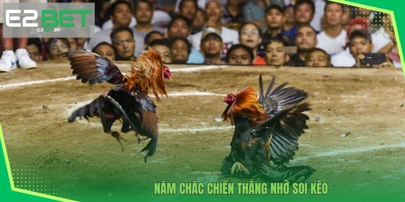 Nắm chắc chiến thắng nhờ soi kèo